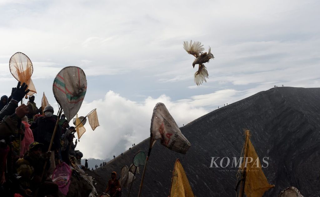Warga berebut ayam yang dilempar warga Tengger di Kawah Gunung Bromo saat pelaksanaan Yadnya Kasada di Desa Ngadisari, Kecamatan Sukapura, Kabupaten Probolinggo, Jawa Timur, Kamis (16/6/2022).