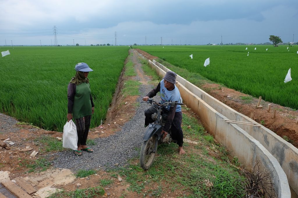 Petani penyewa lahan sekaligus buruh tani, Yana (kanan) dan Warsitem, bersiap pulang setelah membersihkan gulma di sawah mereka, Minggu (17/3/2024), di Desa Kalensari, Kecamatan Widasari, Kabupaten Indramayu, Jawa Barat.