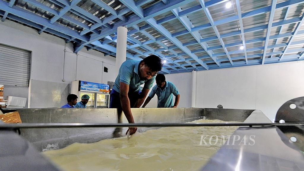 Pekerja memproses pembuatan susu sapi menjadi keju di industri rumahan Indrakila, Desa Kiringan, Kecamatan Boyolali, Kabupaten Boyolali, Jawa Tengah, Selasa (2/5). 
