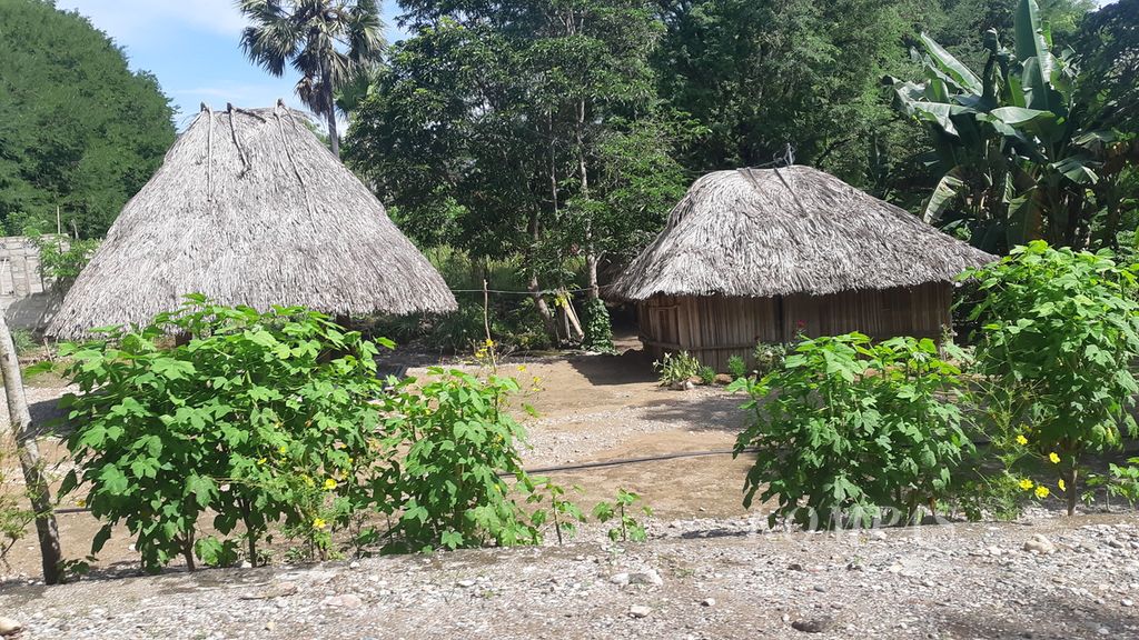 Permukiman penduduk di pedalaman Pulau Timor, tepatnya di Desa Haekto, Kecamatan Noemuti Timur, Kabupaten Timor Tengah Utara, Nusa Tenggara Timur, Kamis (24/3/2022). Sebagian besar warga di daerah itu hidup di bawah garis kemiskinan.