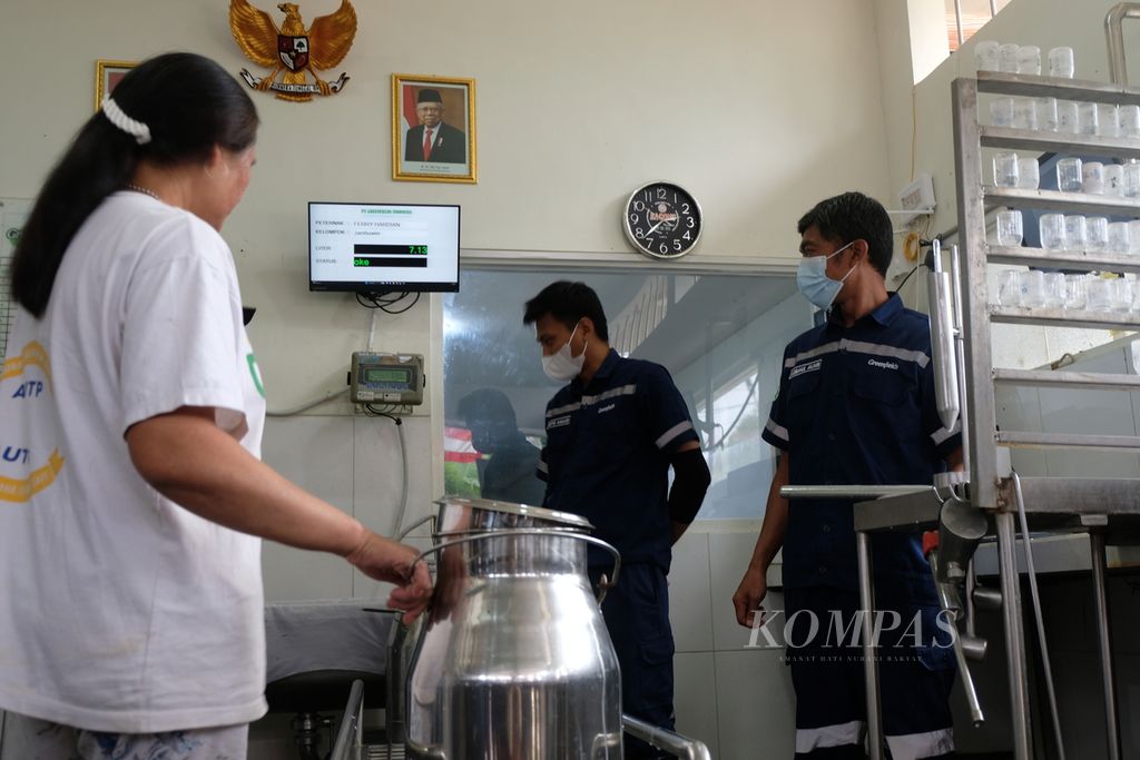Nurul Aini, anggota Kelompok Mitra Susu Greenfields (KSG) di Desa Jambuwer, Kecamatan Wagir, Kabupaten Malang, Jawa Timur, Selasa (30/5/2021), menyerahkan susu hasil perahan sore hari ke kantor KSG.