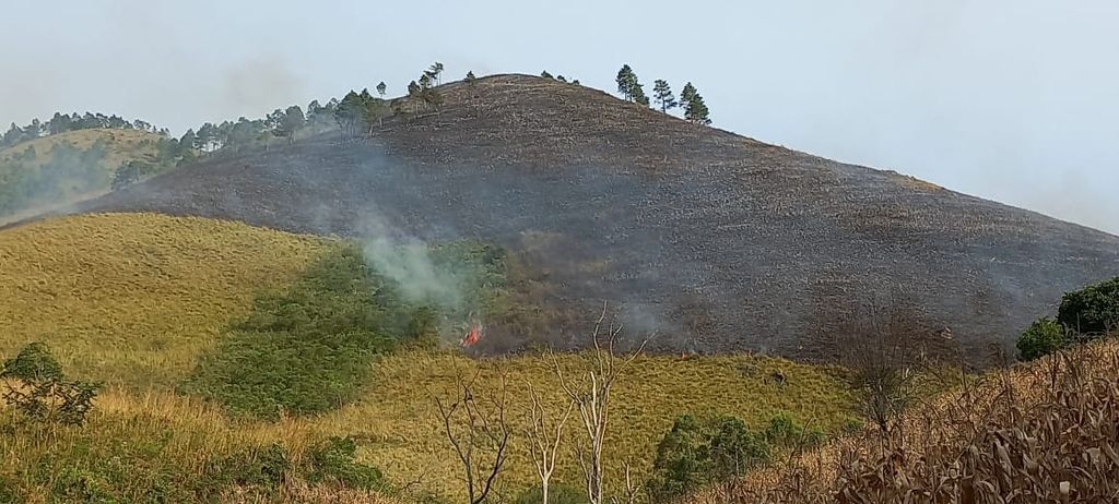 Kebakaran hutan dan lahan kembali terjadi di kawasan Danau Toba di Desa Huta Ginjang, Kecamatan Sianjur Mula-Mula, Kabupaten Samosir, Sumatera Utara, Rabu (7/9/2022). Karhutla terus berulang tanpa penanganan memadai.