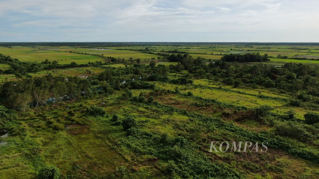 Foto udara cetak areal persawahan yang gagal dan lahan dibiarkan begitu saja di Kampung Kurik, Distrik Kurik, Merauke, Papua, Selasa (8/11/2022).  