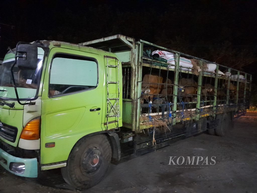 Truk bermuatan sapi dari Bima, Nusa Tenggara Barat, tujuan Jakarta, terparkir di halaman satu warung makan di Kabupaten Situbondo, Jawa Timur, Rabu (31/5/2023) dini hari.  