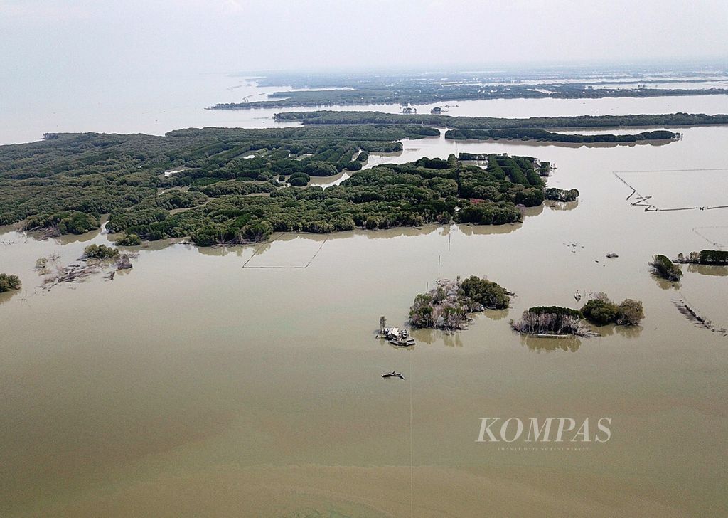 Kawasan pesisir utara dengan tanaman mangrove yang terus menyusut karena rusak diterjang ombak dan abrasi di Desa Bedono, Kecamatan Sayung, Kabupaten Demak, Jawa Tengah, awal November 2018.