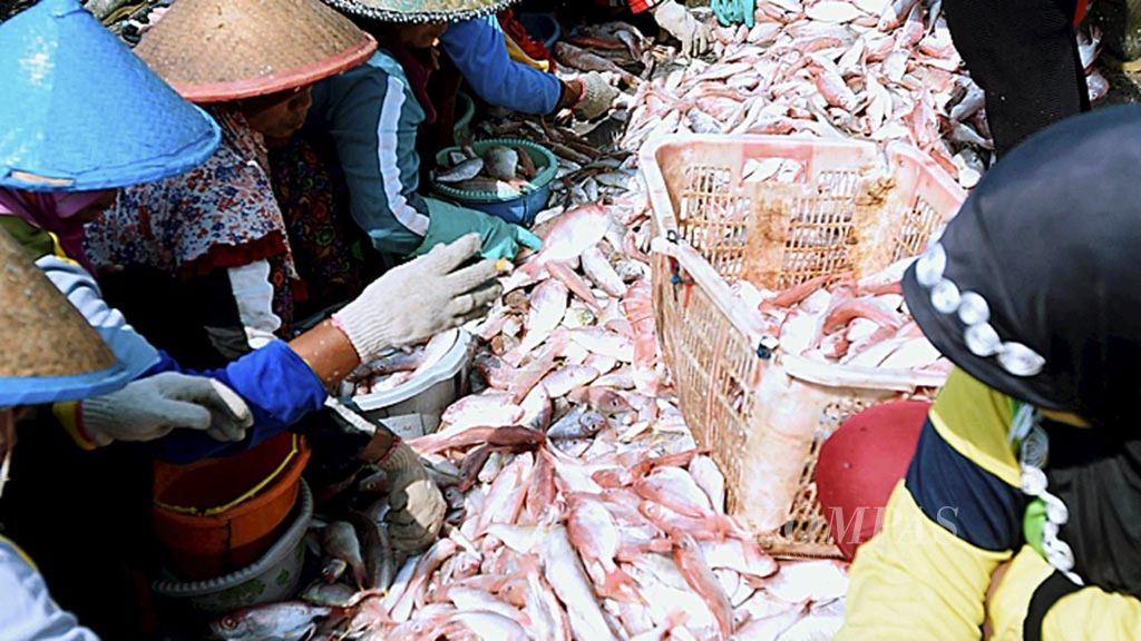 Buruh perempuan memilah ikan sesuai dengan jenis dan ukuran hasil tangkapan nelayan di TPI Brondong, Lamongan, Selasa (27/3/2018). Dalam pekerjaan borongan memilah ikan, buruh perempuan dibayar Rp 50.000.