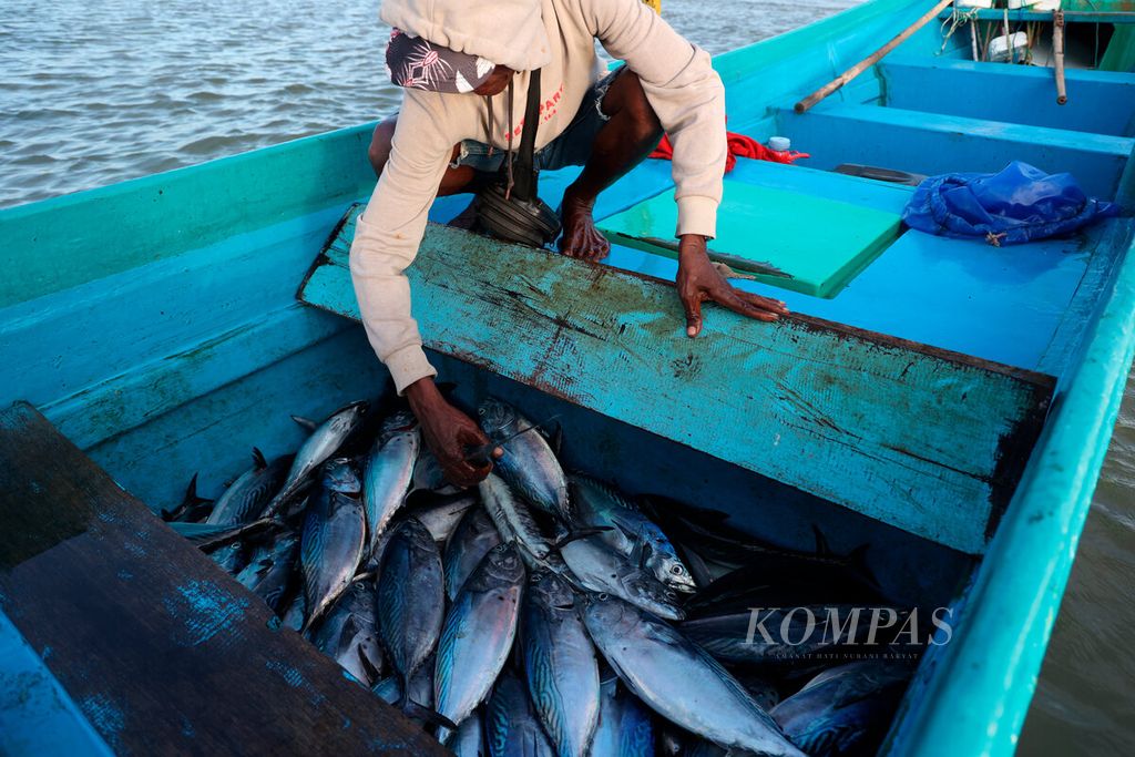 Nelayan membawa hasil tangkapannya untuk dijual ke pasar di Kampung Nelayan Siwalima, Kecamatan Pulau-pulau Aru, Kabupaten Kepulauan Aru, Maluku, Senin (25/9/2023).