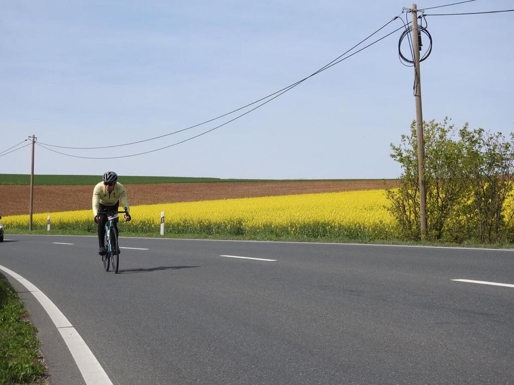 Dalam perjalanan dari kota Heppenheim menuju ke kota Tauberbischolfheim terdapat banyak pemandangan indah. Salah satu di antaranya adalah tanaman <i>rapeseed</i> yang dapat menghasilkan minyak kanola.