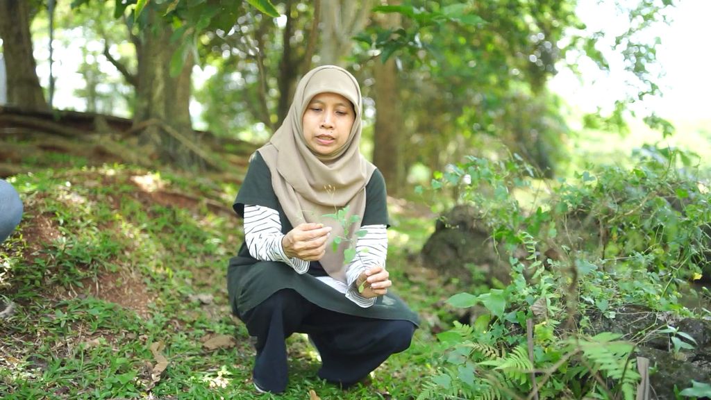 Dyah Kartikasari (46), menunjukkan cara meramban tanaman liar di Komplek The Green Bumi Serpong Damai, Tangerang Selatan. Sebelum mengambil tanaman liar, diidentifikasi terlebih dulu dengan memetik ujung daun, meremas, mencium aroma, dan memakannya sedikit demi sedikit.