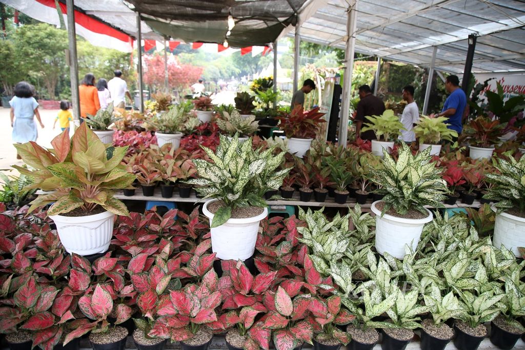 Beragam jenis flora dipamerkan dalam Pameran Keanekaragaman Hayati Nusantara di Lapangan Banteng, Jakarta, Minggu (10/11/2019). 