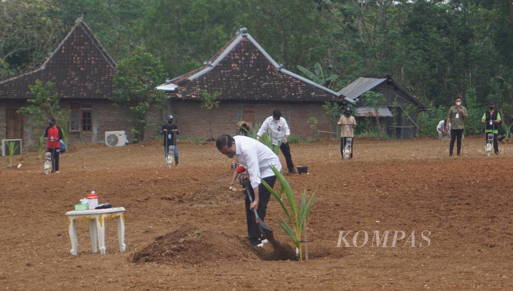 Presiden Joko Widodo menanam pohon kelapa genjah dalam program penanaman nasional satu juta kelapa genjah, di Desa Sanggang, Kecamatan Bulu, Kabupaten Sukoharjo, Jawa Tengah, Kamis (11/8/2022).