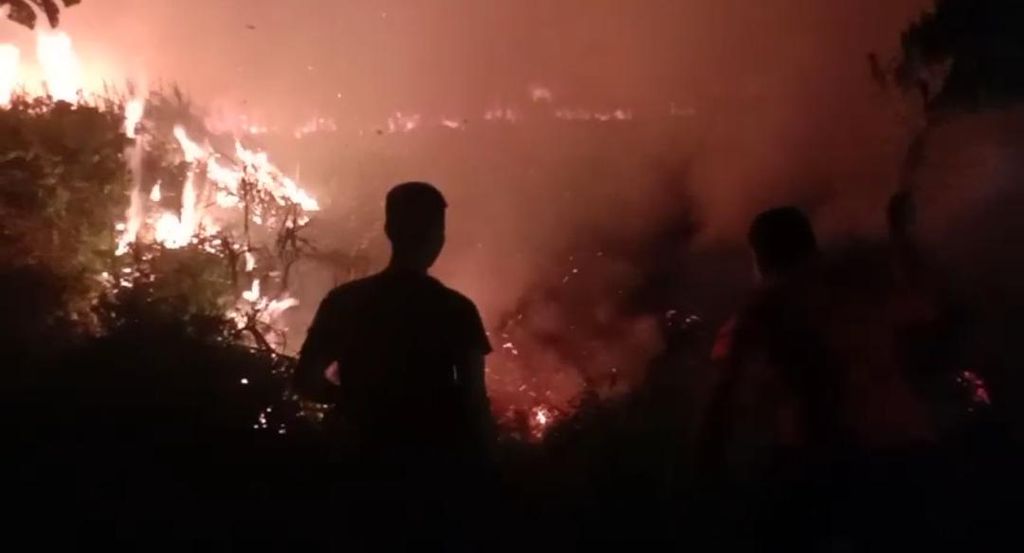 Petugas dan warga berupaya memadamkan api yang membakar lahan kosong di Kendari, Sulawesi Tenggara, Minggu (29/10/2023) dini hari. Kebakaran lahan menghanguskan sedikitnya lima hektar lahan di wilayah ini. 