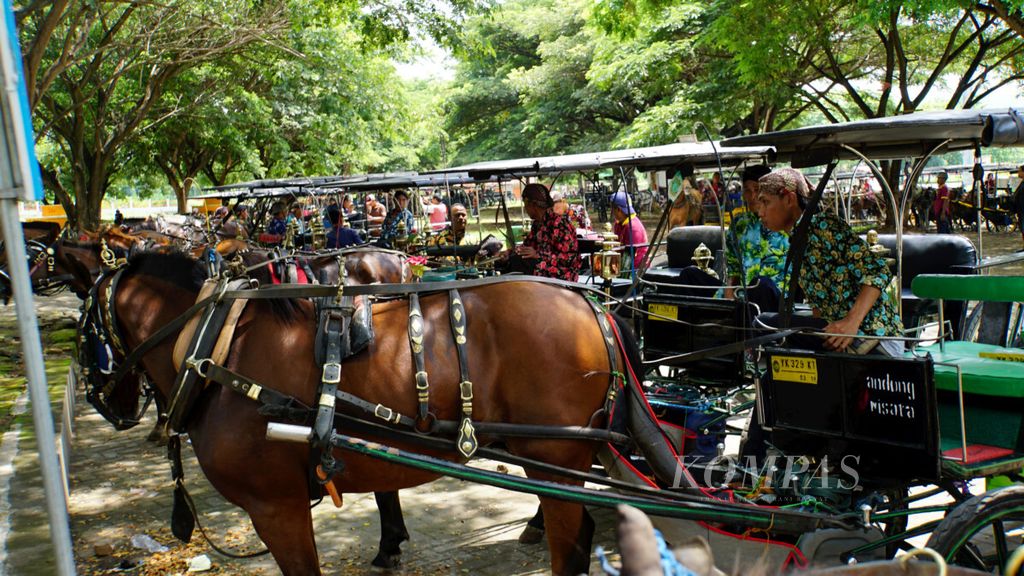 The horse-drawn carriage drivers are waiting for their horses to be checked for fitness at Sultan Agung Stadium, Bantul, Yogyakarta Special Region, on Wednesday (5/12/2018). These carriages usually operate in the Malioboro tourist area.