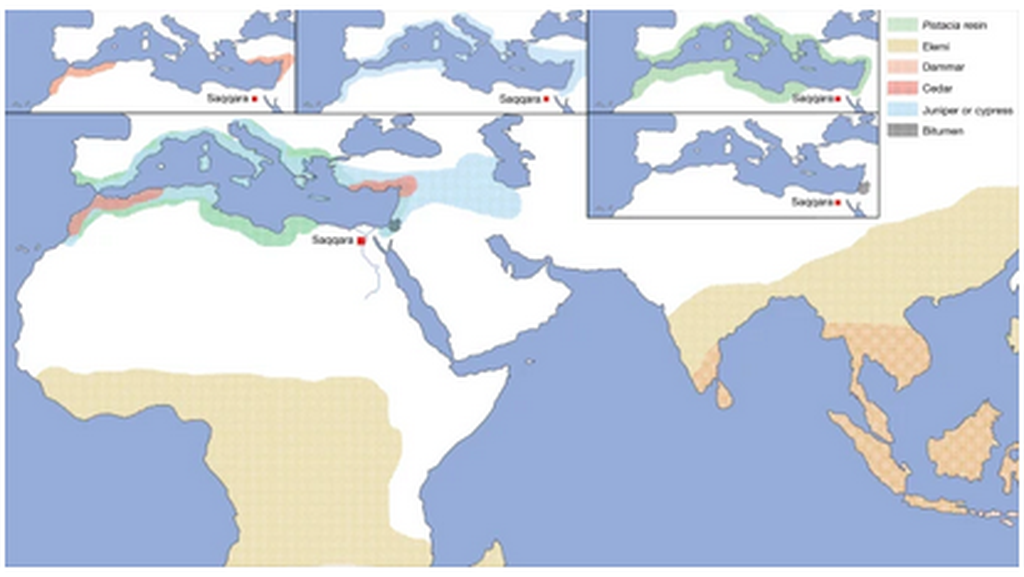 Area berwarna menunjukkan potensi asal bahan baku yang digunakan untuk pembuatan balsam dan proses mumifikasi di Saqqara. Peta S. Lucas dalam Maxime Rageot, dkk. Jurnal Nature, 2023. https://doi.org/10.1038/s41586-022-05663-4 (2023).