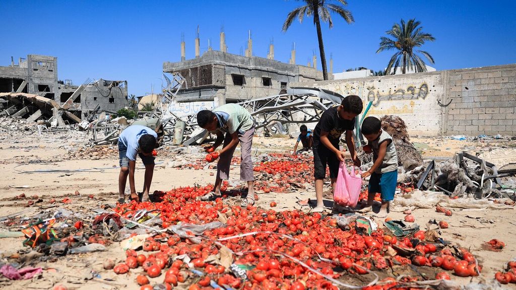 Anak-anak Palestina mengumpulkan tomat yang berserakan di jalan setelah jatuh dari truk pengantar bantuan, di Khan Yunis di Jalur Gaza selatan pada 3 Juli 2024, di tengah konflik yang sedang berlangsung antara Israel dan kelompok militan Hamas Palestina.