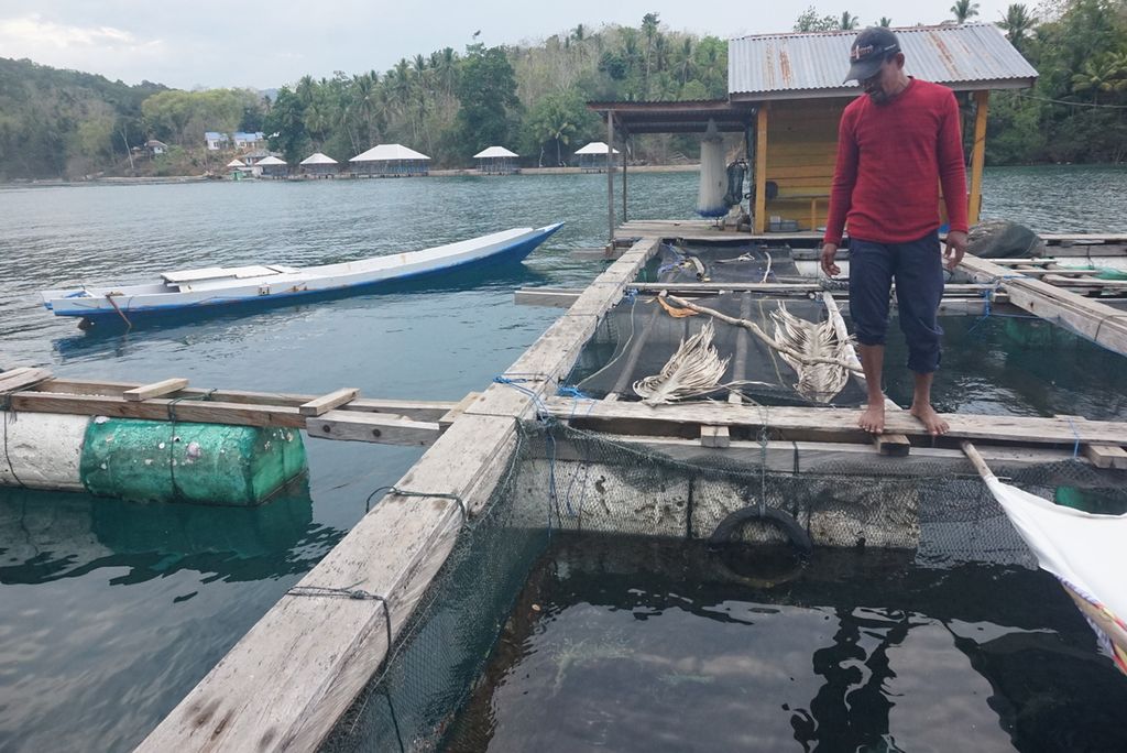 Bahar (47), Ketua Kelompok Nelayan Bintang Fajar, menunjukkan salah satu lokasi keramba pengembangan lobster milik salah satu anggotanya di Desa Soropia, Konawe, Sulawesi Tenggara, Minggu (15/12/2019). 