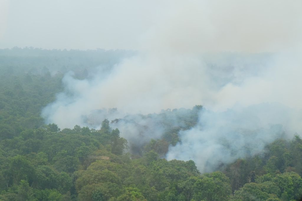 Kebakaran lahan di Air Sugihan, Kabupaten Ogan Komering Ilir, Sumatera Selatan, Sabtu (24/10/2015).