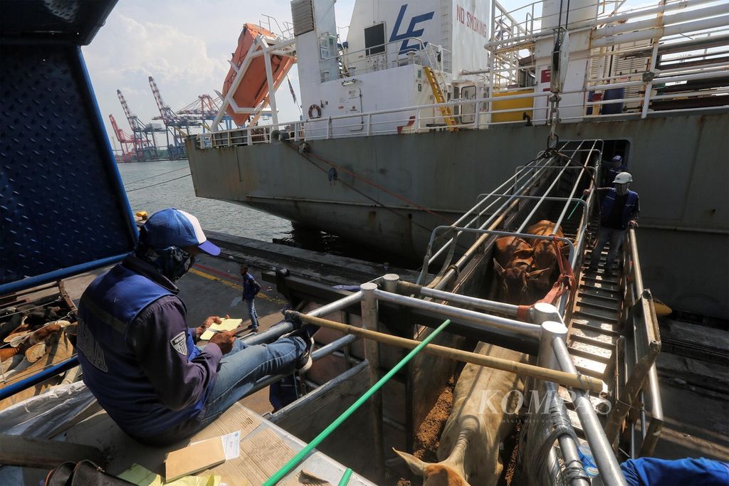 Sapi impor dari Australia dipindahkan ke dalam truk usai diturunkan dari kapal Devon Express di Pelabuhan Tanjung Priok, Jakarta (22/9/2020). Menurut data Kementerian Pertanian, untuk mencukupi kebutuhan dalam negeri hingga kini Indonesia masih mengimpor sapi.