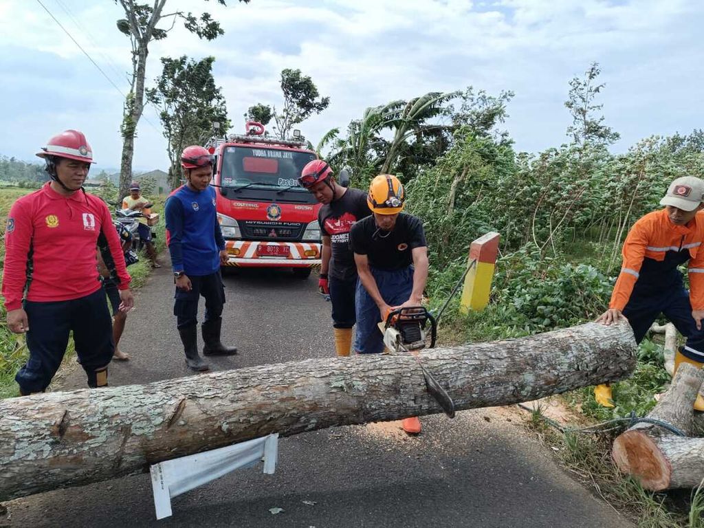 Petugas gabungan memotong dan membersihkan pohon yang tumbang akibat angin kencang di wilayah Bobotsari, Purbalingga, Jawa Tengah, Selasa (12/3/2024).