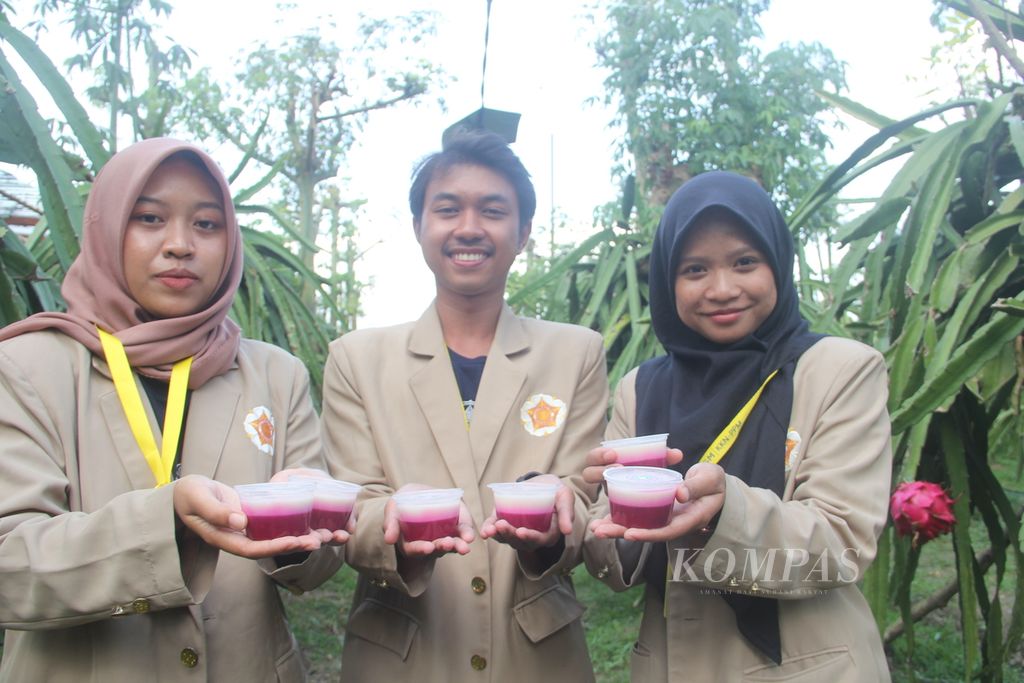 Mahasiswa UGM menunjukkan puding yang dibuat dari buah naga, Jumat (28/7/2023), di Desa Sumbermulyo, Kecamatan Pesanggaran, Kabupaten Banyuwangi, Jatim. 