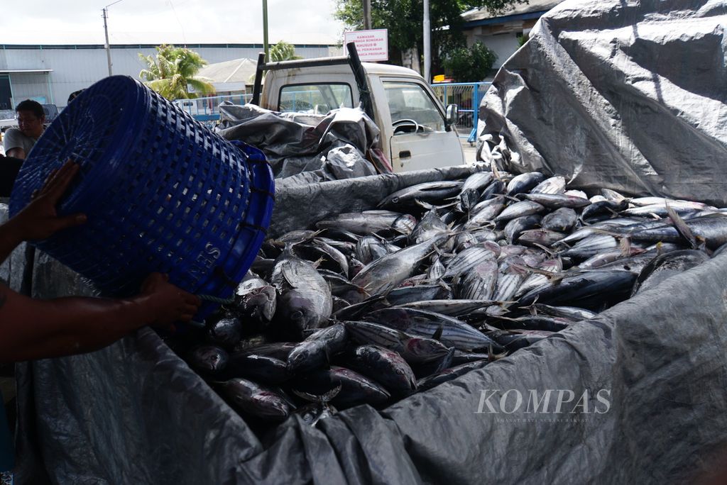 Para pekerja membongkar ikan tangkapan dari Kapal Motor Sentosa XVIII berbobot 131 gros ton di Pelabuhan Perikanan Samudera (PPS) Bitung, Sulawesi Utara, Jumat (20/10/2023), dan memuatnya ke mobil bak untuk dibawa ke pabrik setempat. Sepanjang semester I-2023, sebanyak 21.100 ton ikan didaratkan di PPS Bitung.