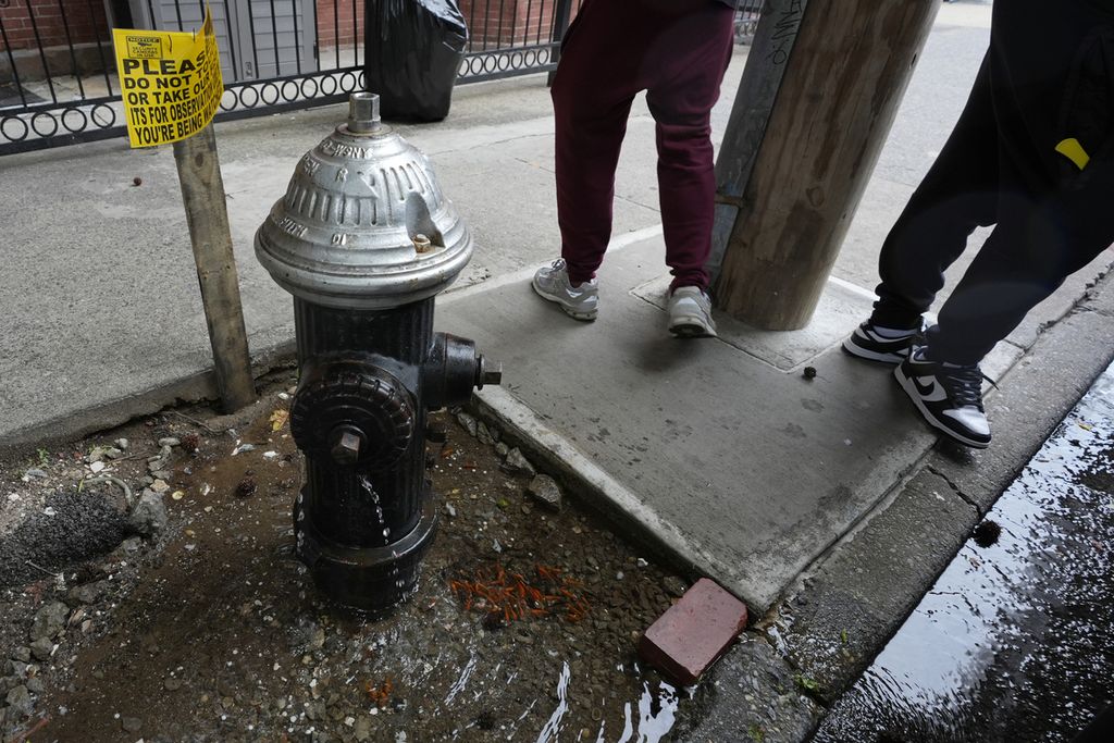 Kolam ikan dadakan di Brooklyn, New York, Amerika Serikat.