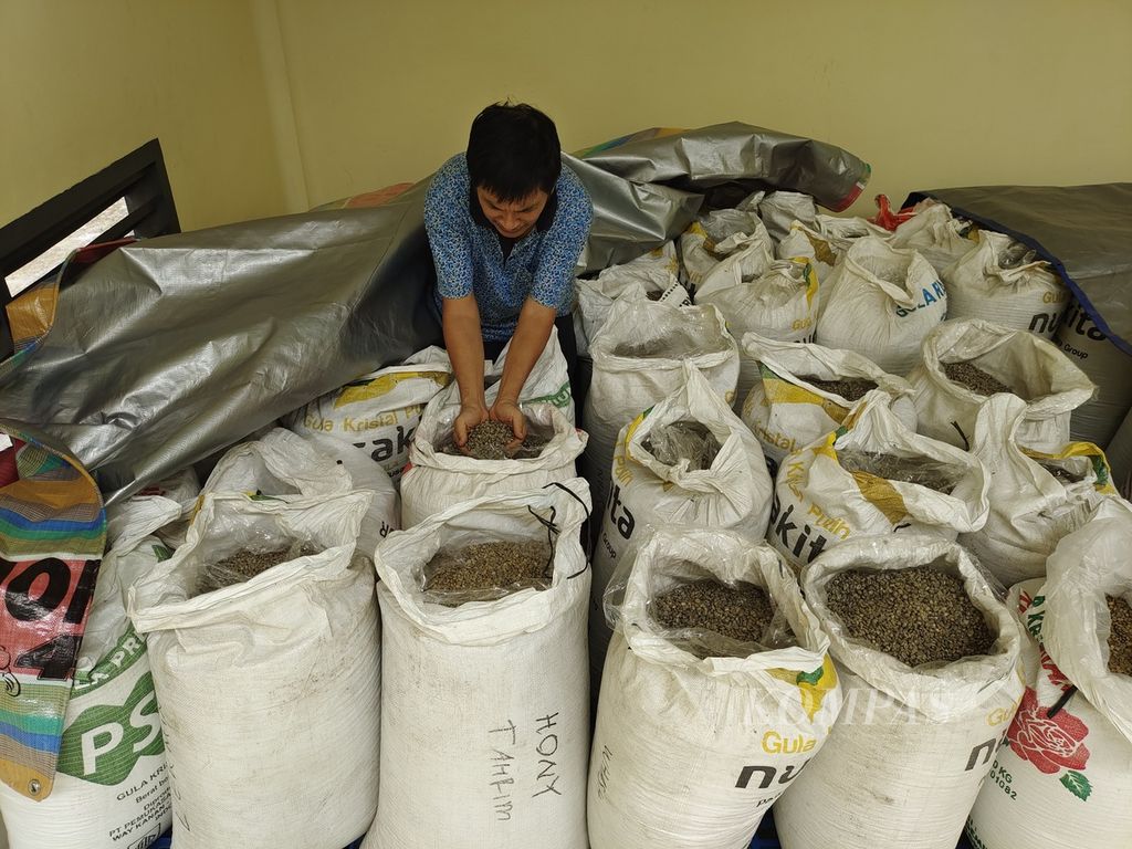 Pemilik merek dagang Kopi Benua, Jono Darma Putra, menunjukkan biji kopi arabika asal Semendo, Kabupaten Muara Enim, Sumatera Selatan, yang ada di pabrik Kopi Benua, Palembang, Selasa (11/6/2024). 