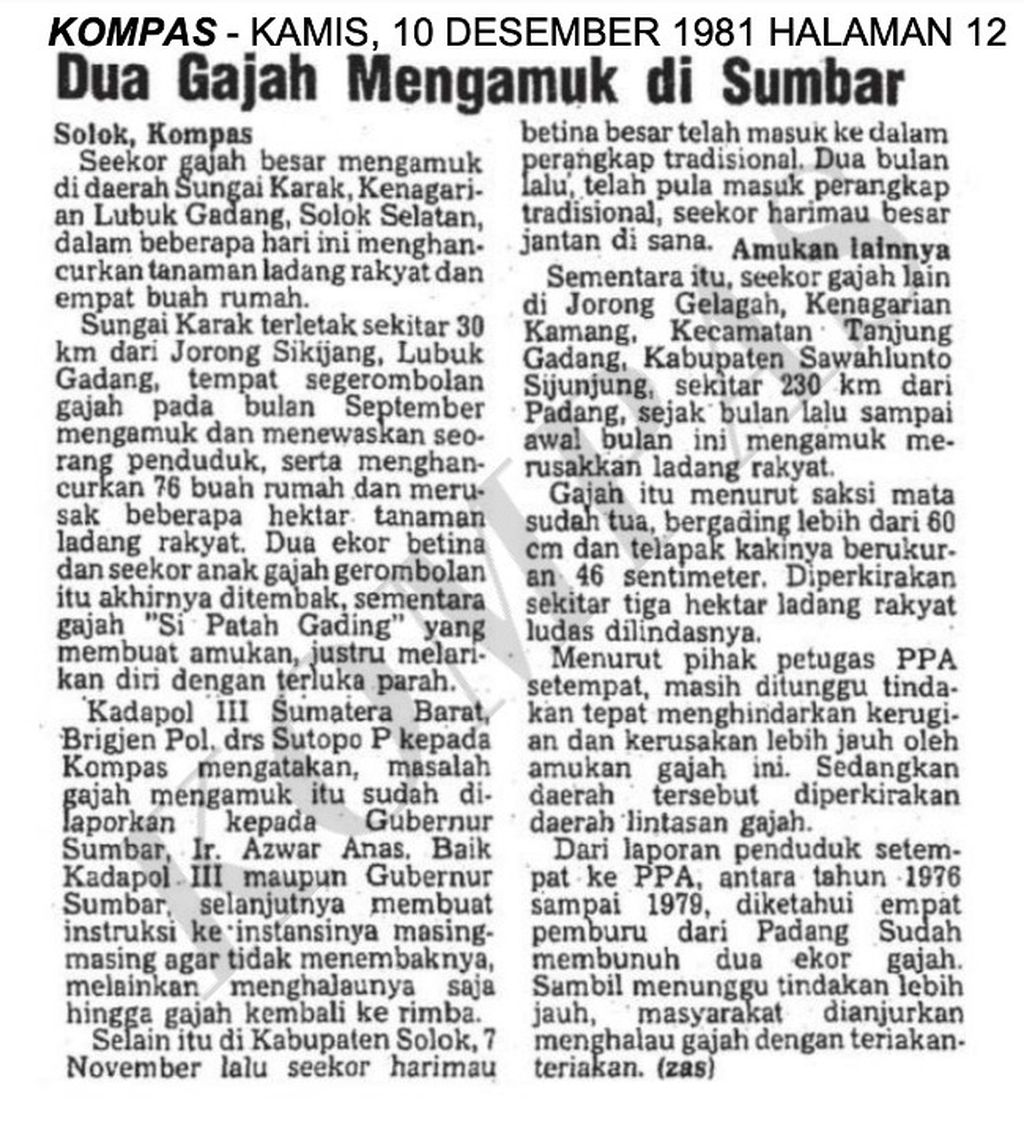 Berita terkait amukan gajah di Sumatera Barat di harian <i>Kompas</i>, 10 Desember 1981.