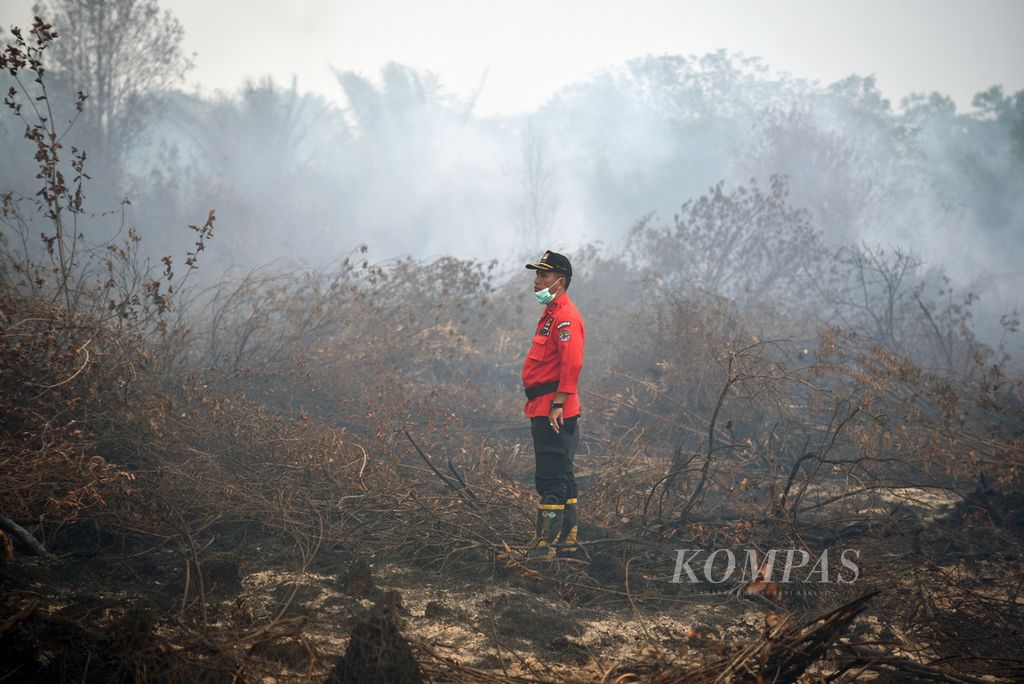 Kepala Manggala Agni Daops Sumatera 14 Banyuasin Mauludin memantau proses pemadaman kebakaran lahan gambut di Desa Jungkal, Kecamatan Pampangan, Ogan Komering Ilir, Sumsel, Selasa (7/11/2023)
