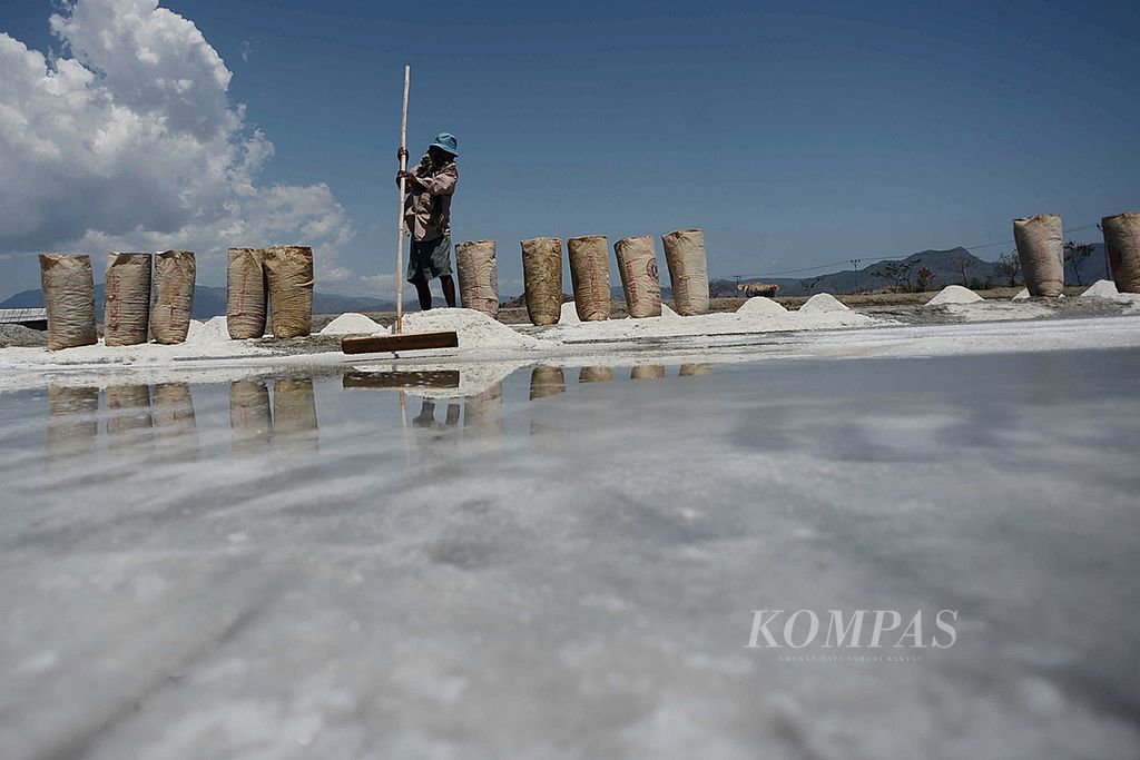 Ilustrasi _ Petani garam di Dongobolo, Woha, Bima, Nusa Tenggara Barat, panen, beberapa waktu lalu.