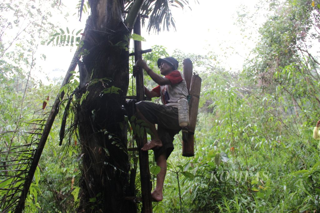 Salah satu warga Desa Tae, Kecamatan Batang Tarang, Kabupaten Sanggau, Kalimantan Barat, sedang menyadap aren, Rabu (18/1/2023).