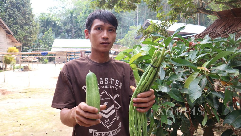 Seorang warga menunjukkan mentimun dan kacang panjang yang mereka dapatkan dari hasil panen di kebun Sekolah Lapang, Kamis (28/7/2022).