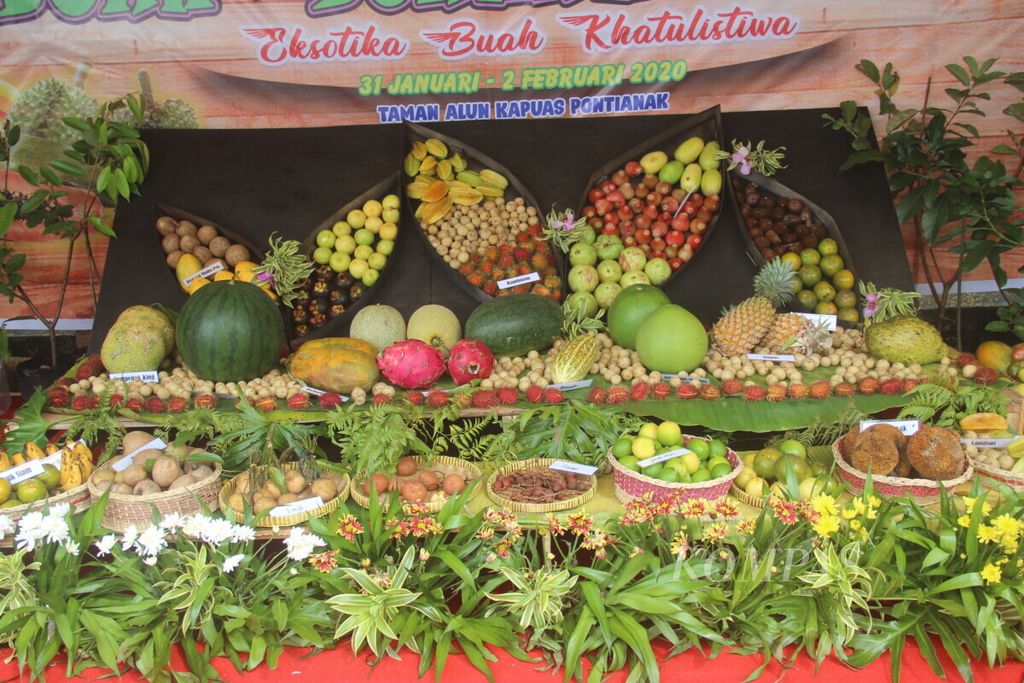 Berbagai jenis buah dipamerkan dalam Festival Buah-buahan Lokal di Pontianak, Kalimantan Barat, mulai Jumat (31/1/2020) hingga Minggu (2/2/2020). Kegiatan itu untuk mengangkat potensi buah-buahan lokal.
