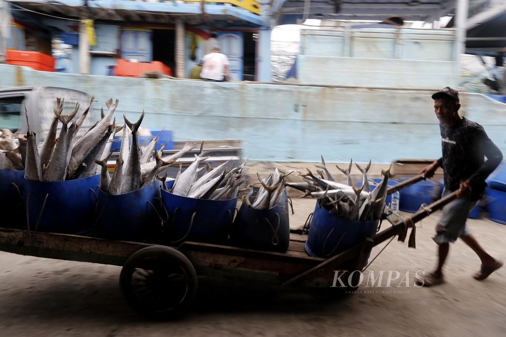 Buruh membongkar ikan yang ditangkap di kawasan perairan Papua di Pelabuhan Muara Angke, Jakarta, Minggu (3/12/2023). 