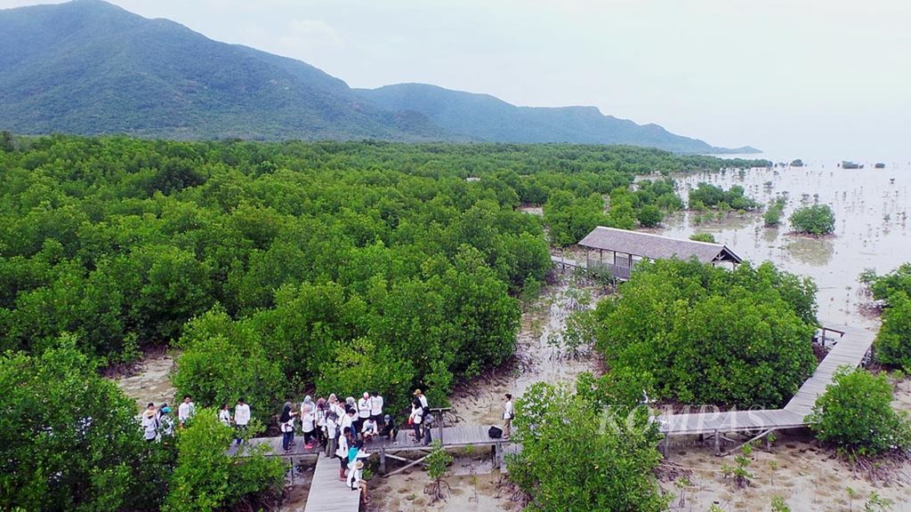 Sejumlah peserta YSEALI Coastal Clean Up 2017 mengunjungi Tracking Mangrove Karimunjawa di Pulau Kemujan, Kepulauan Karimunjawa, Kabupaten Jepara, Jawa Tengah Sabtu (25/3). Tracking Mangrove Karimunjaw memiliki tanaman mangrove seluas 30 hektar. Sementara itu, luas total mangrove di Taman Nasional Karimunjawa 222,2 hektar. 