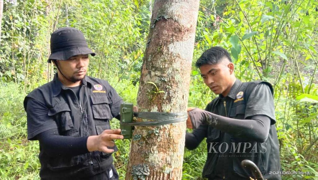 Petugas Resor Konservasi Wilayah Agam BKSDA Sumatera Barat memasang perangkap kamera (<i>camera trap</i>) di daerah Nagari Ampek Koto Palembayan, Kecamatan Palembayan, Agam, Sumatera Barat, awal Juni 2021. 