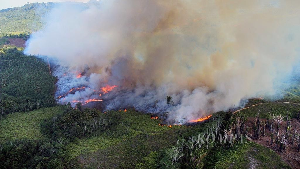 Kebakaran lahan di Kabupaten Landak, Kalimantan Barat, Senin (31/7/2017).