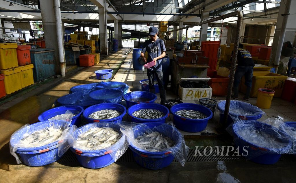 Pekerja mengisi sejumlah ember besar dengan ikan di salah satu lapak di Pasar Ikan Modern Muara Baru, Jakarta Utara, Kamis (26/8/2021). Pada tahun ini Kementerian Kelautan dan Perikanan menargetkan penerimaan negara bukan pajak (PNBP) untuk usaha perikanan tangkap sebesar Rp 1 triliun. Jumlah tersebut ditargetkan meningkat menjadi Rp 12 triliun pada 2024. Upaya peningkatan PNBP tersebut memerlukan pengendalian untuk mencegah potensi produksi yang eksploitatif dan merusak sumber daya alam.