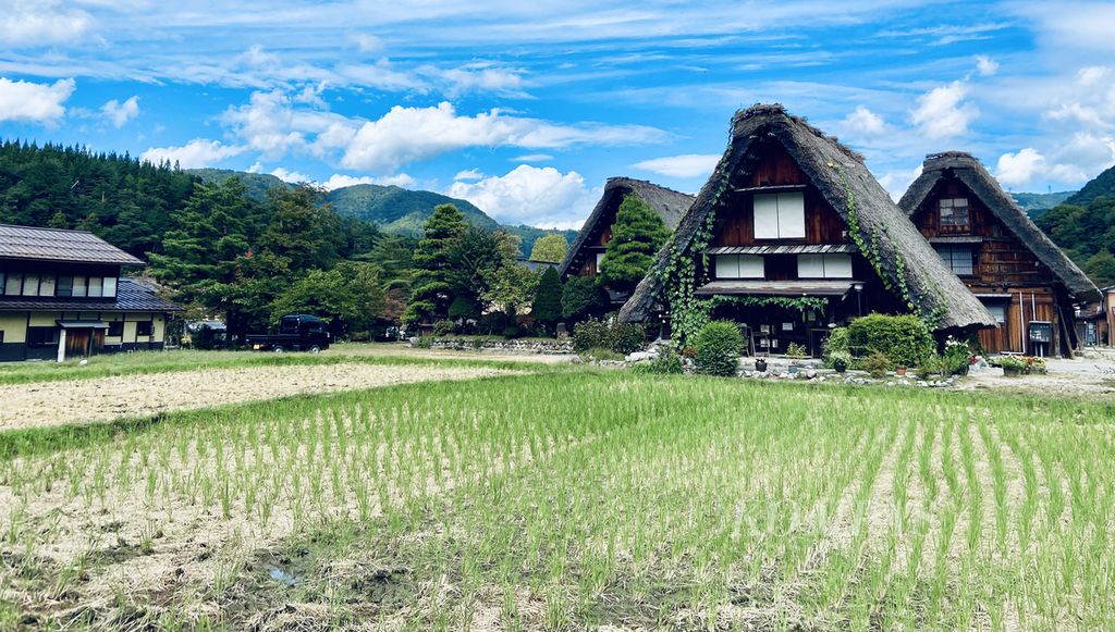 Sisa sawah di Desa Shirakawa di Prefektur Gifu, Jepang pada 4 Oktober 2023. Luas sawah dan produksi beras di Jepang terus menyusut dalam beberapa dekade terakhir. Sebab, nasi bukan lagi menjadi pangan utama Jepang. Warga Jepang memilih pangan berbahan tepung atau bahan lain.