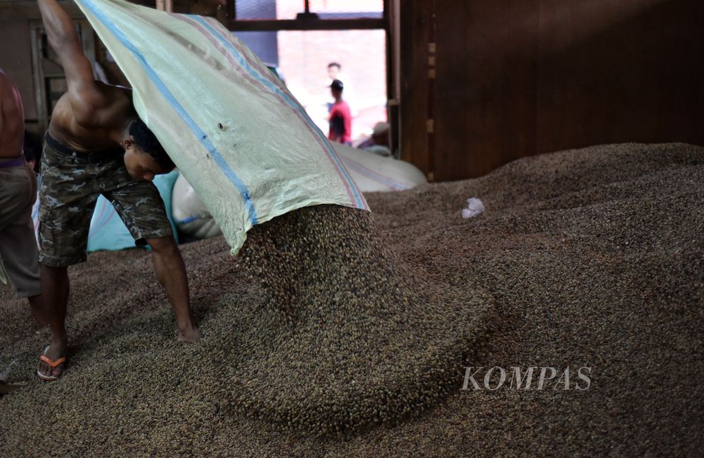 Buruh angkut mengeluarkan biji kopi kering yang baru dibeli dari petani ke gunungan biji kopi kering di Gudang Kopi Tomo, Pagaralam Selatan, Kota Pagaralam, Sumsel, Rabu (3/7/2024).