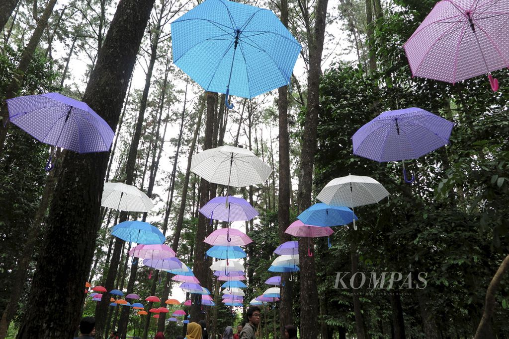 Deretan instalasi payung memberi sentuhan estetis di Hutan Pinus Mentaos.