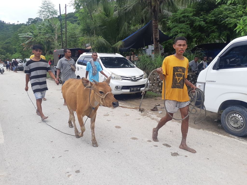 Warga mengevakuasi ternak dari lokasi longsor di Kelurahan Takari, Kabupaten Kupang, Nusa Tenggara Timur, pada Senin (20/2/2023). Belasan keluarga juga sudah diminta mengungsi dari titik yang rawan longsor.
