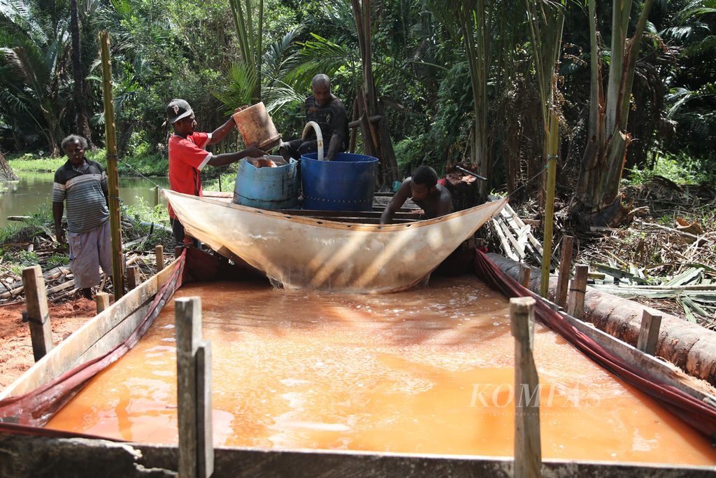 Warga memanen dan mengolah sagu yang baru dipanen di Kampung Yoboi, Distrik Sentani, Kabupaten Jayapura, Papua, Jumat (26/7/2024).  