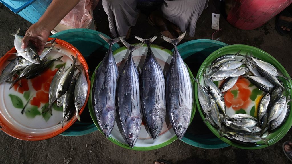 Pedagang ikan menata dagangannya di Pasar Senja TPI Lewoleba, Pulau Lembata, Nusa Tenggara Timur, Kamis (10/8/2023). Pasar yang berada di pinggir pantai tersebut hanya buka mulai sore hari. Bermacam sayuran dan hasil laut melimpah dengan harga terjangkau tersedia di pasar tersebut. 