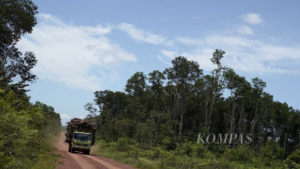 Truk membawa kayu tebangan hutan di Distrik Animha, Kabupaten Merauke, Papua, Jumat (11/11/2022). 