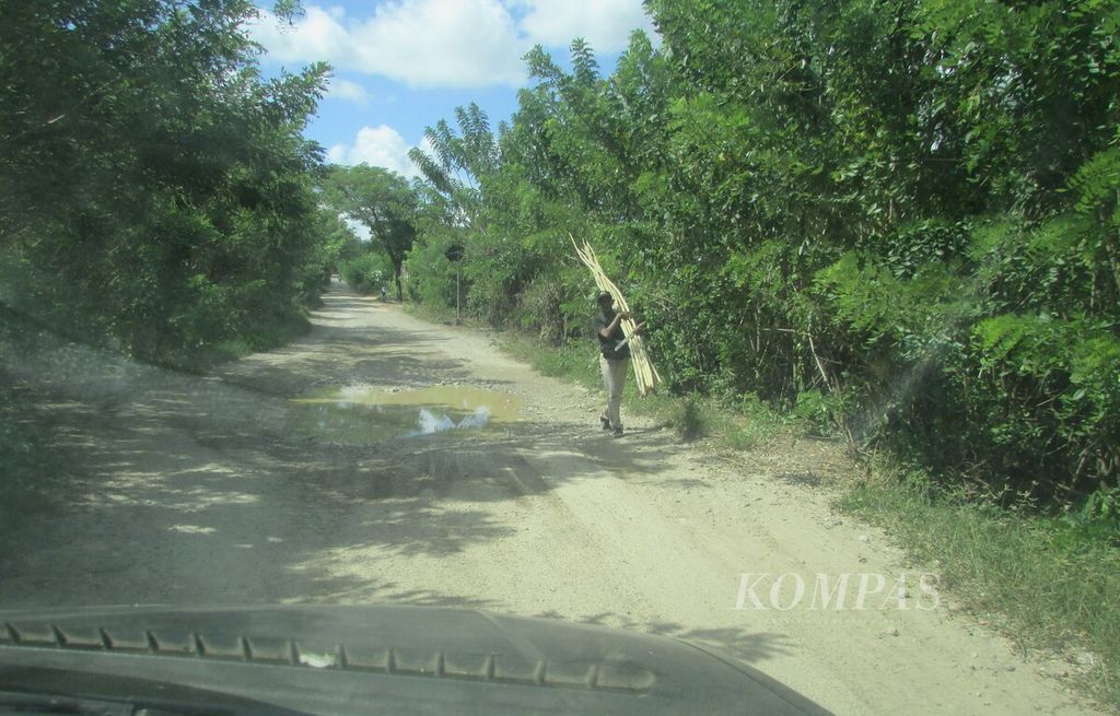 Tidak ada kendaraan umum atau sewaan, kebanyakan warga pedalaman Kabupaten Kupang mengandalkan tenaga fisik membawa beban menuju rumah kediaman. Biasanya kayu yang dipikul ini untuk kebutuhan kandang ternak babi.