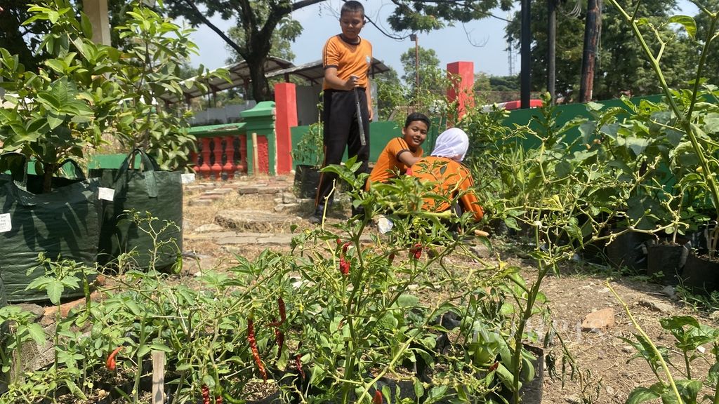 Siswa dan siswi SD Negeri Ngaliyan 03 Kota Semarang, Jawa Tengah, melaksanakan piket di kebun pertanian urban sekolah mereka, Jumat (25/8/2023). 