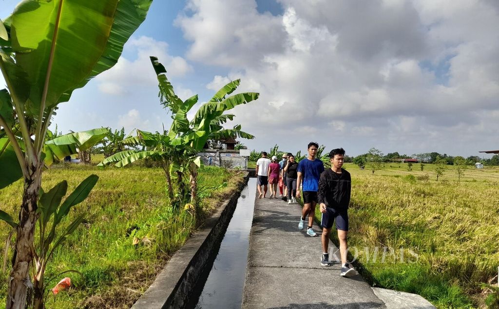 Subak Sembung di Kelurahan Peguyangan, Kecamatan Denpasar Utara, Kota Denpasar, dikembangkan menjadi kawasan ekowisata subak di Kota Denpasar. Pengunjung berjalan-jalan di kawasan ekowisata Subak Sembung, Kamis (23/5/2024).