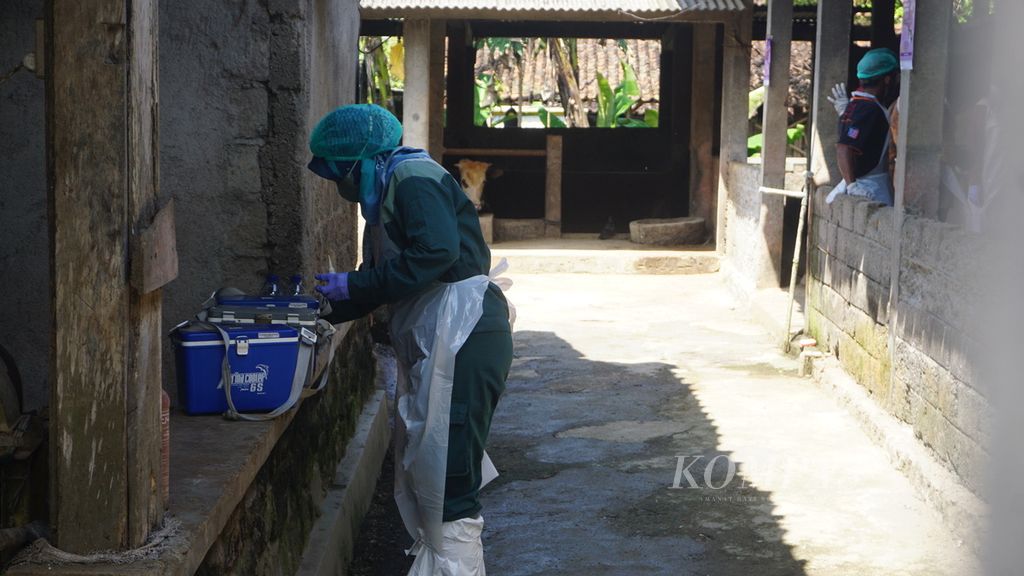 Seorang petugas kesehatan hewan bersiap mengecek kondisi ternak yang sakit di Kecamatan Mojosongo, Kabupaten Boyolali, Jateng, Jumat (13/5/2022). Gerak cepat penanganan di daerah tersebut membuat kondisi penularan bisa ditekan. Peternak punya kesadaran melaporkan gejala yang dialami ternak-ternaknya.