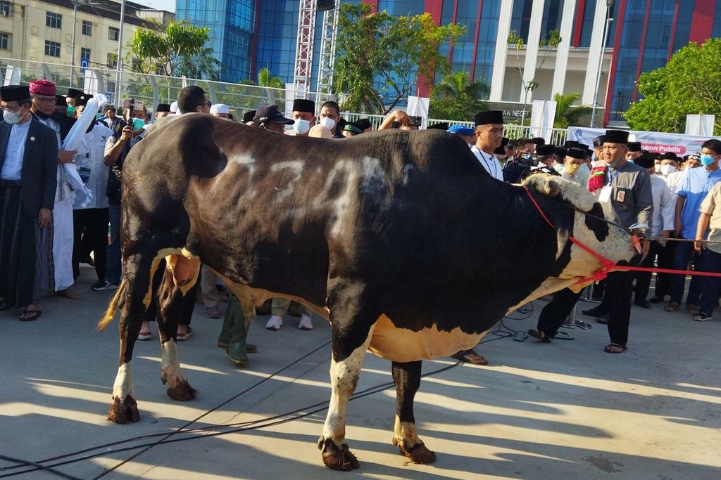 Gubernur DKI Jakarta Anies Baswedan memberikan satu sapi dengan berat 1,2 ton secara simbolis di Jakarta International Stadium, Jakarta Utara, Minggu (10/7/2022), dalam rangka Idul Adha 1443 Hijriah.